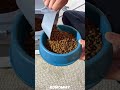One Product, Five Problems Solved. (Pet Owner Math) #amazon #home #organization #amazonfind #pets