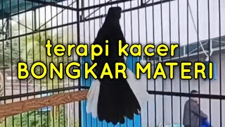 100% AMPUH ! TERAPI KACER BONGKAR MATERI ISIAN