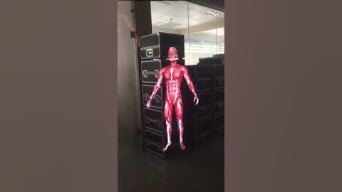 3D Soft net mesh (Holo Gauze)