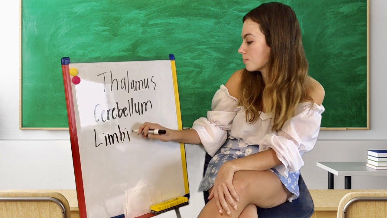 [ASMR] Brain Anatomy Lesson 🧠 (teacher roleplay)