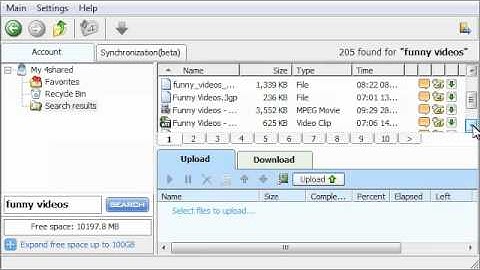 4Shared Desktop - easy and multifunctional