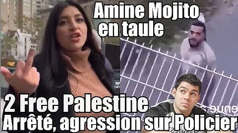 Amine Mojito in prison for his prank 🤦‍ 2 Free Palestine tries to grab a cop's gun 😡