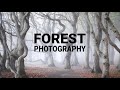 7 STEPS to MASTER forest photography