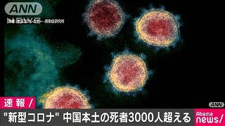 中国本土の死者は3000人超える　新型コロナウイルス(20/03/05)