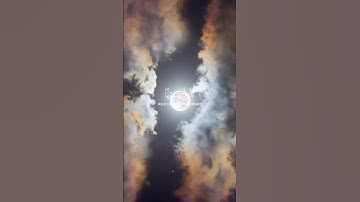 تلاوة خاشعة تريح الأعصاب 💙 تلاوة من سورة الجاثية 🌱 القارئ الشيخ ياسر الدوسري 🍃 25ثانية من وقتك