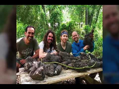 How To Reap And Store Your Veggies - Trash Can Root Cellar