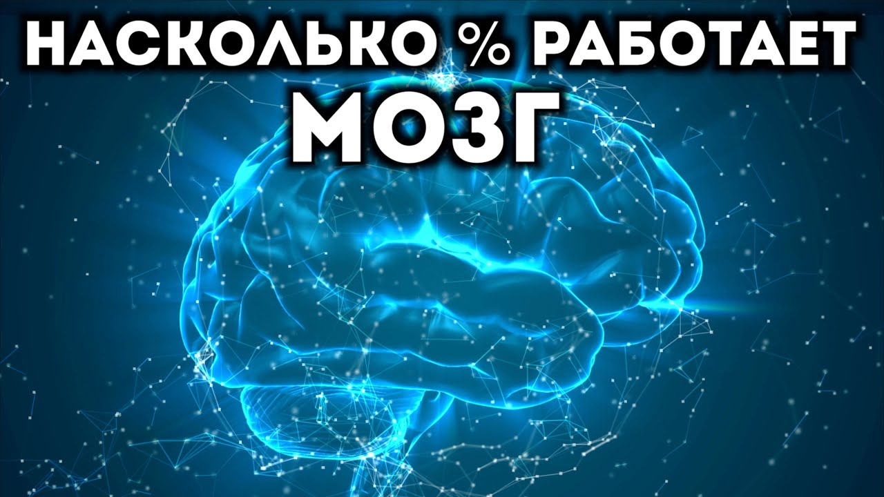 Мозг человека используется на процентов. Мозг психология. Эволюция мозга человека рисунки. На сколько процентов работает мозг человека. Нейробиология.