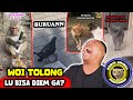 Berasa bisa ngomong beneran ini hewan   reaction demik animal