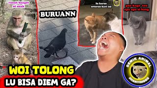 BERASA BISA NGOMONG BENERAN INI HEWAN 🤣 - Reaction Demik Animal