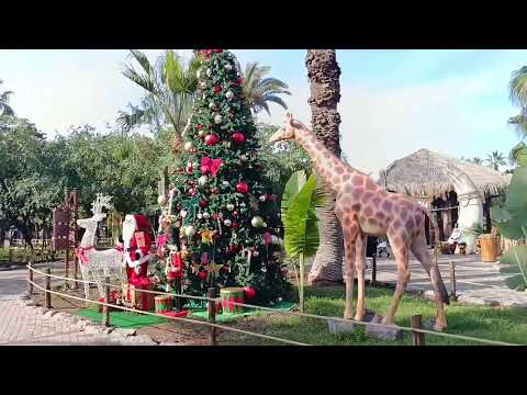 الدار البيضاء جولة في حديقة الحيوانات عين السبع 