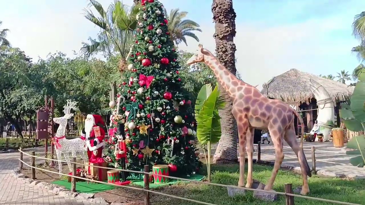 الدار البيضاء...جولة في حديقة الحيوانات عين السبع 