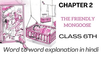 The friendly mongoose class 6th | chapter 2 supplementary book | word to word explanation