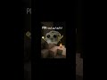 #minecraft