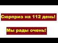 Опорос свиноматки! Свинья! Сколько поросят! Жизнь в деревне!