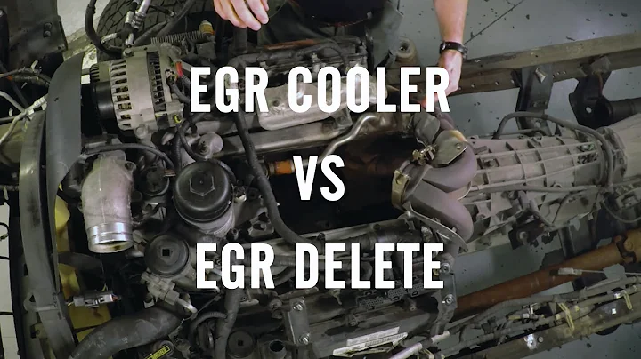 EGR Delete or EGR Cooler?