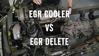 EGR Delete or EGR Cooler?