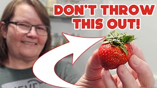 No-Waste Uses for Strawberry Tops | Dehydrating Stawberries