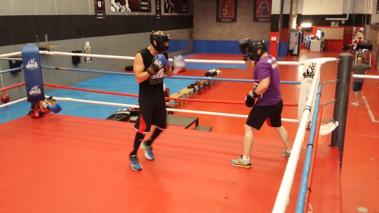 camera iphone 8 plus apk Vista de el martes 14.10.2014 en survival box..