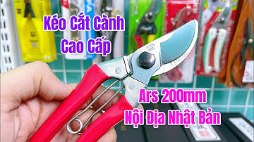 [ Tập 913 ] Kéo cắt cành cao cấp Ars 120 S8 200mm nội địa Nhật Bản