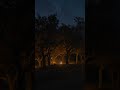 Warm beats for midnight commits. #Shorts