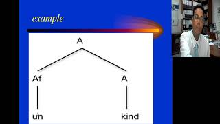 Introduction to Linguistics: Morphology 1