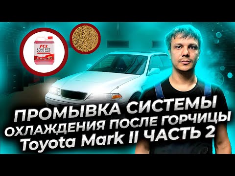 Промывка системы охлаждения двигателя Тойота Марк 2 после горчицы, часть 2