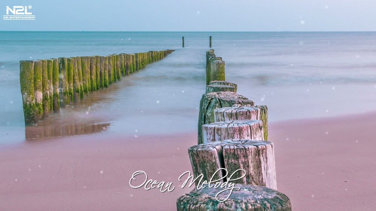 Relax with music for lonely souls | Ocean Melody - For Studying By N2L Music