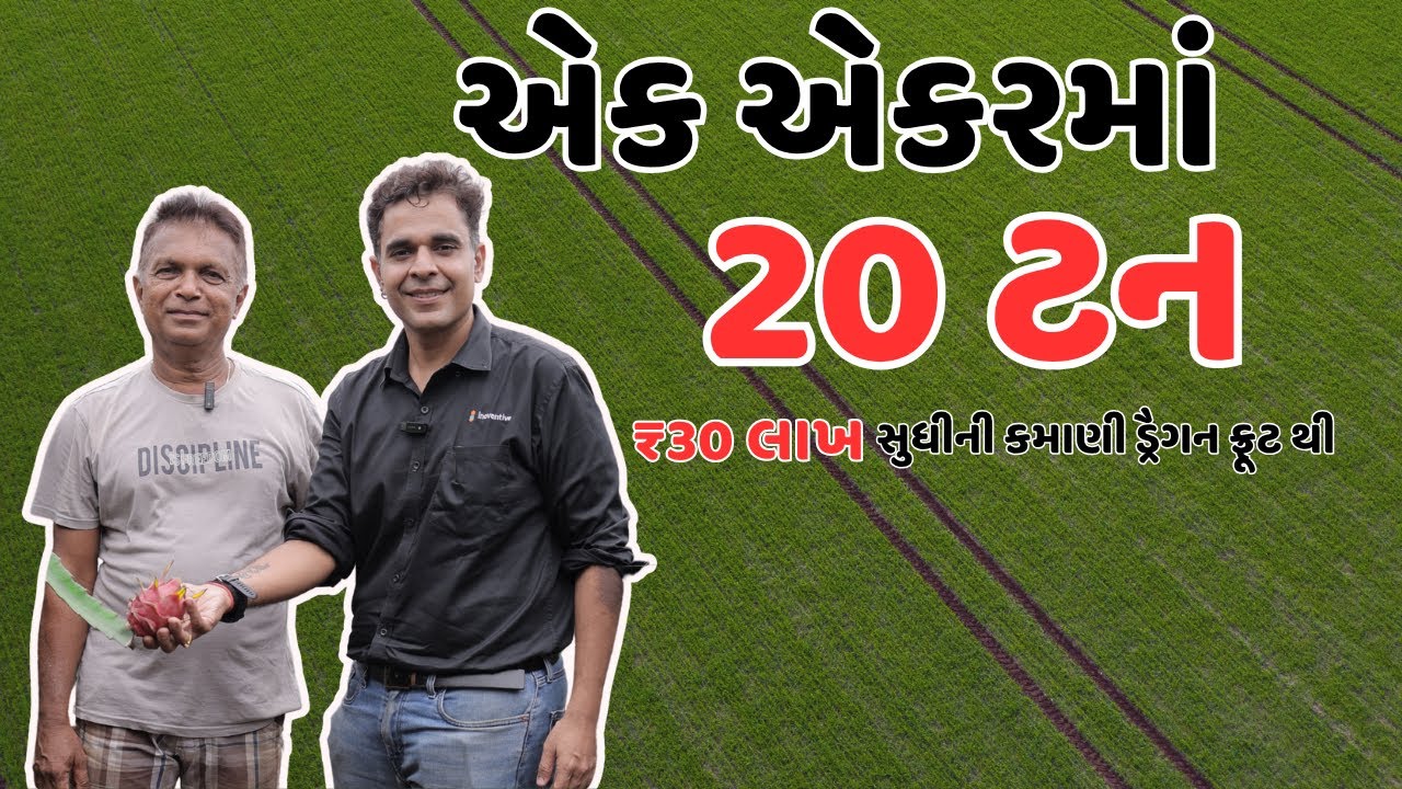 એક એકરમાં 20 ટન ડ્રેગન ફ્રુટનું પ્રોડક્શન | સુરતના હિતેશભાઈની સફળ ખેતી કહાની