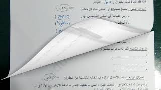حل موضوع في التربية المدنية رقم 1 للسنة الثانية ابتدائي الفصل الثاني