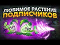 PvZ 2. ЛЮБИМОЕ РАСТЕНИЕ ПОДПИСЧИКОВ!