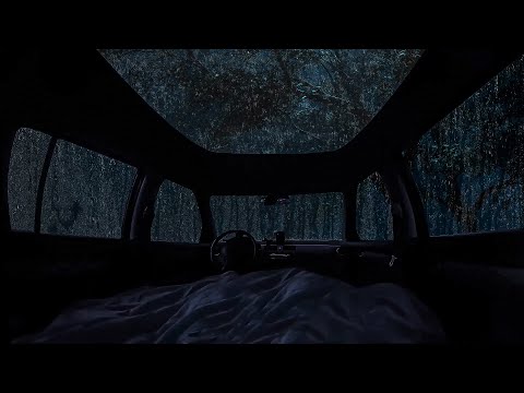 10 Hours 🌧️ Overnight in a cozy car during heavy rain and thunderstorms to relax your mind and sleep