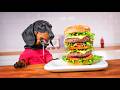 And a diet coke please! Cute & funny dachshund dog video!