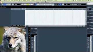 Creating and Organizing Workspaces in Cubase