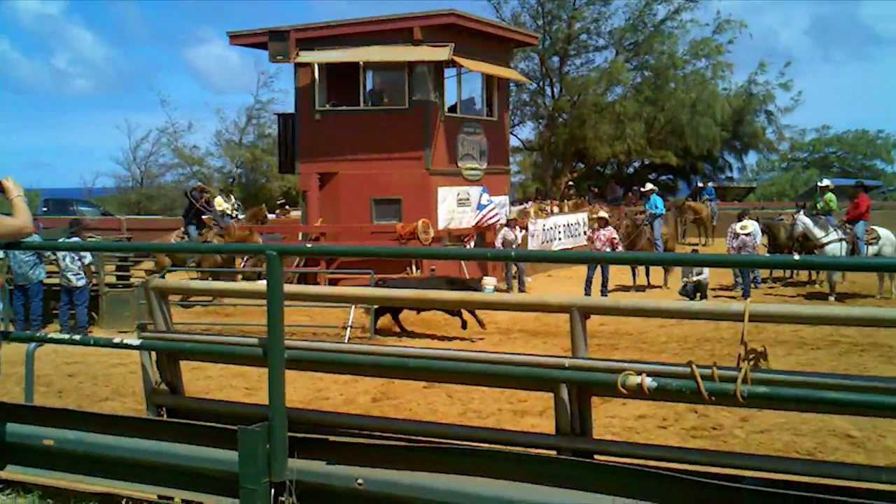 Celebrity Sighting at Kauai Rodeo in Hawaii YouTube