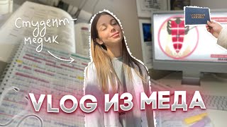 картинка: VLOG: СДАЛА ЦНС | НЕНАВИЖУ ГИСТОЛОГИЮ