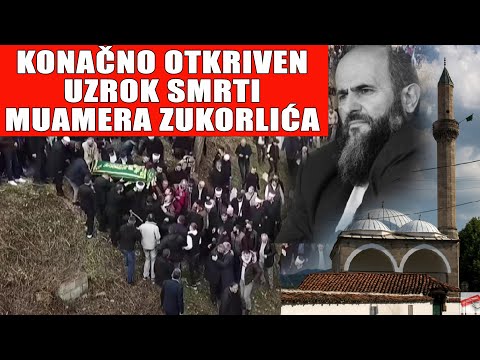 KONAČNO OTKRIVEN UZROK