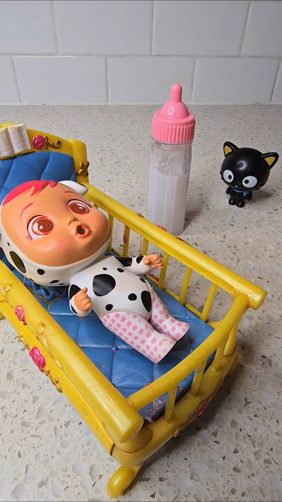 My 🍼🍼🍼🐕🐈