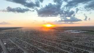 Captar O Futuro Da Pecuária Já Começou