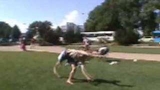 Tricking XMA Sampler Komerzgandalf@online.de
