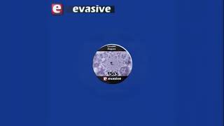 Lovable Rogues - Time Zones