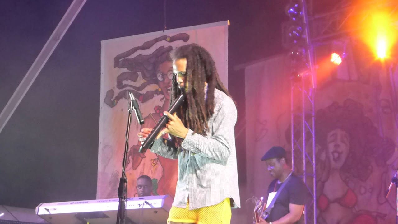 Addis Pablo & The Suns Of Dub「Present Selassie Souljahz In Dub