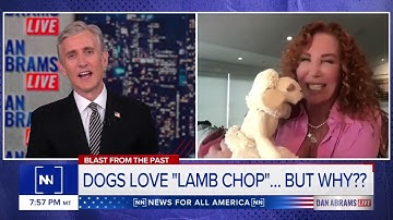 Beloved Lamb Chop puppet makes comeback on TikTok | Boca International Jewish Film Festival