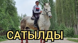 💥БЕРЛИН 💥 1.70 cm  Юсуфтан  3 года   Пай пай  арзан баада Сатууга Чыкты