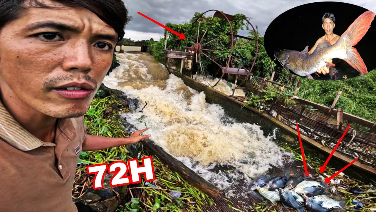 Nơi Này Là Gì ??? 72H Phát Hiện Bí Mật BỊ Che Dấu Trên Hoang Đảo Giữa Rừng | Câu Cá Giữa Rừng 