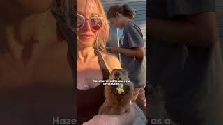 Download Lagu Wild Groundhog Wants Human Mom's Attention At All Times | The Dodo MP3