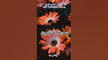 سورة الكافرون ¦ الشيخ فارس عباد 🧡