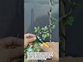 Spiral Plant Training Technique 🌿 #bonsai #gardening #planttraining