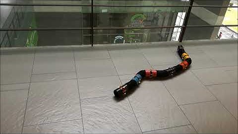 Biomimetic Snake like Robot