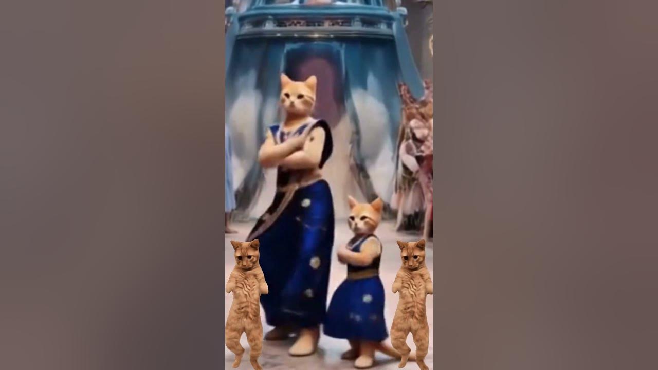APT funny remix😺😍 #rosé #brunomars #apt #kpopedit #cats #dance #ai #kpop #ytshorts #catvideos