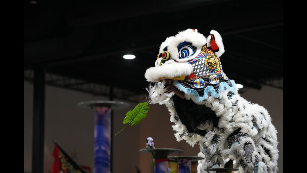 Southern Sea Dragon & Lion Dance (7.41) - 2024 USA High Pole Lion Dance Championship